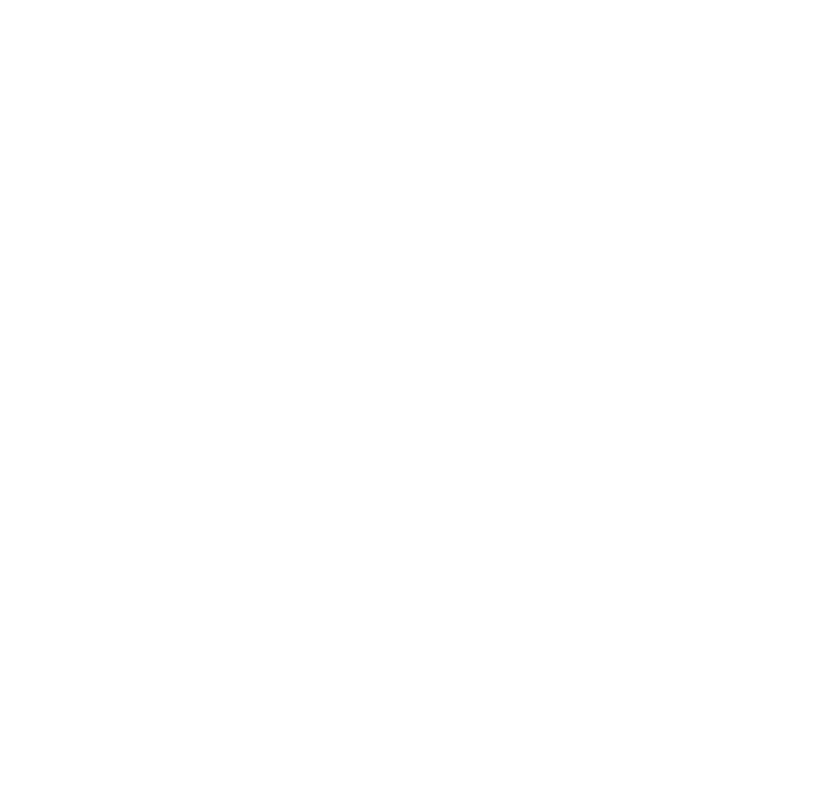 Meraki Cruises